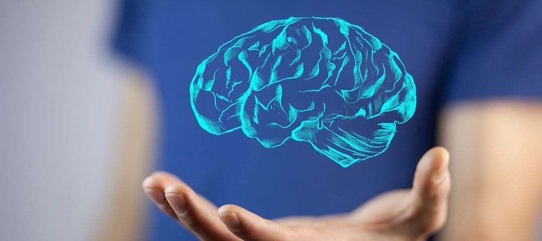 יד מחזיקה הדמיית תלת מימד של מוח