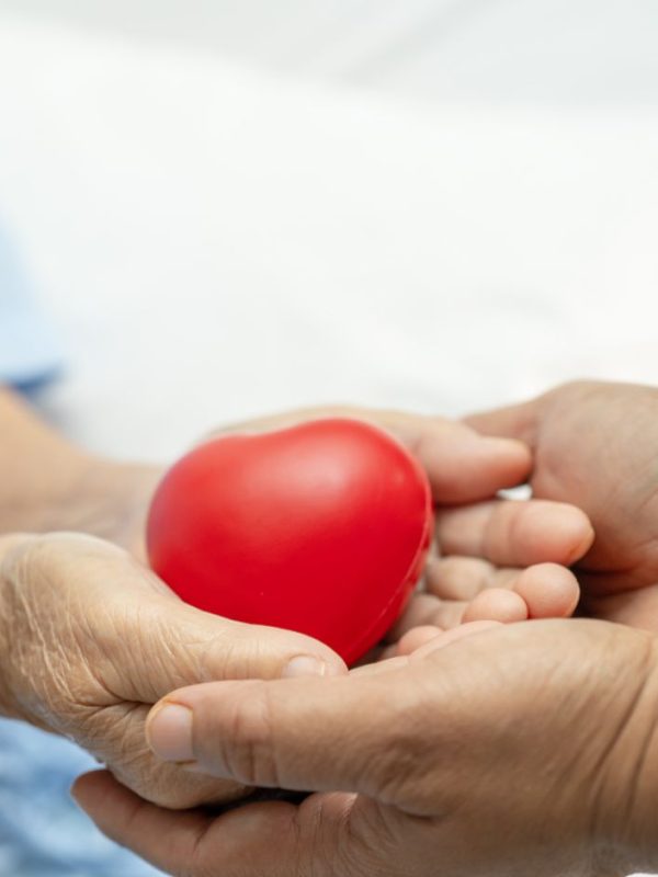 ידיים מחזיקות לב אדום מפלסטיק