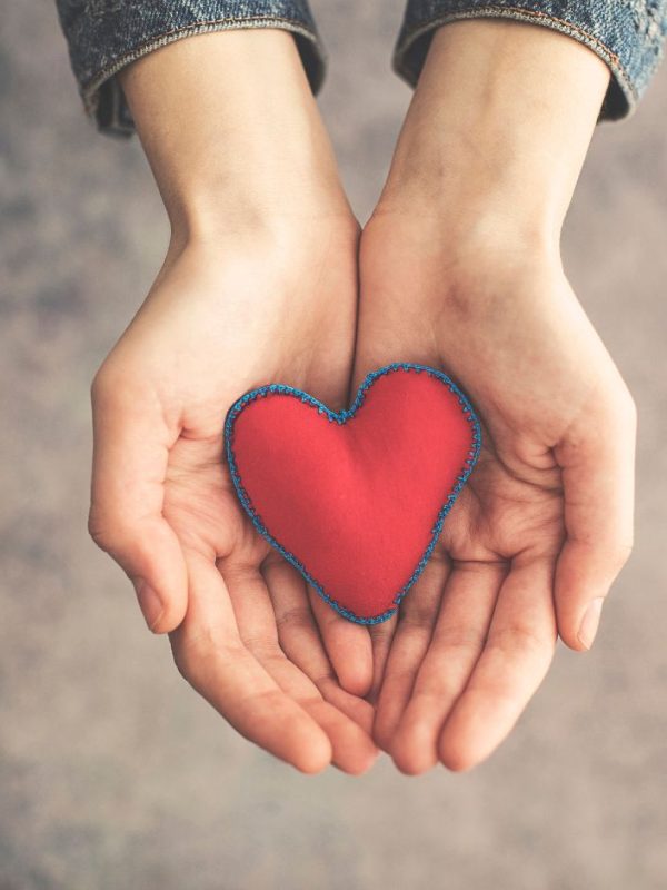זוג ידיים צעירות מחזיקות לב