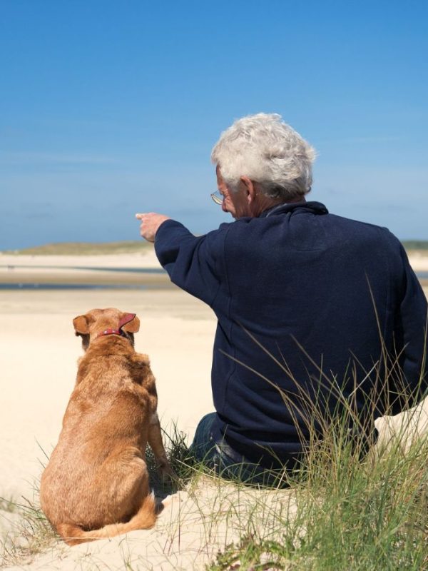 קשיש וכלב יושבים בחוף הים בחורף